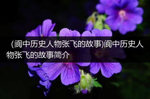 （阆中历史人物张飞的故事)阆中历史人物张飞的故事简介