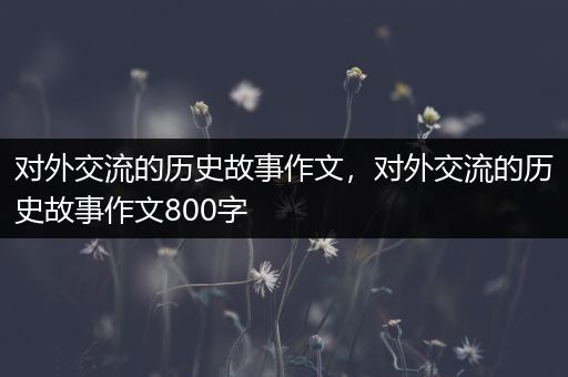 对外交流的历史故事作文，对外交流的历史故事作文800字