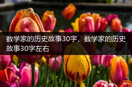 数学家的历史故事30字，数学家的历史故事30字左右