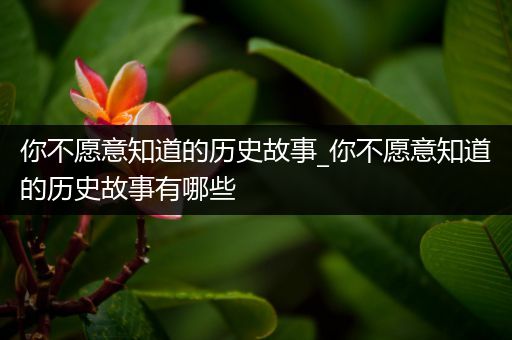 你不愿意知道的历史故事_你不愿意知道的历史故事有哪些