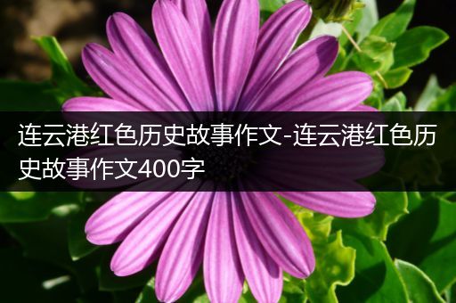 连云港红色历史故事作文-连云港红色历史故事作文400字