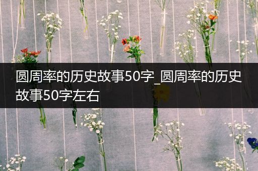 圆周率的历史故事50字_圆周率的历史故事50字左右