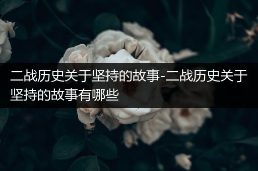 二战历史关于坚持的故事-二战历史关于坚持的故事有哪些