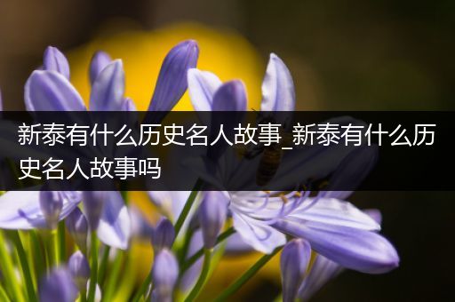 新泰有什么历史名人故事_新泰有什么历史名人故事吗