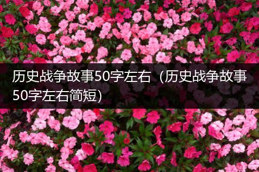 历史战争故事50字左右（历史战争故事50字左右简短）