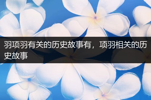 羽项羽有关的历史故事有，项羽相关的历史故事