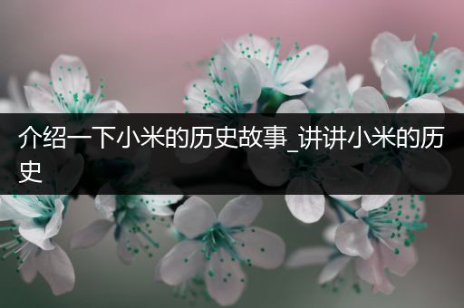 介绍一下小米的历史故事_讲讲小米的历史