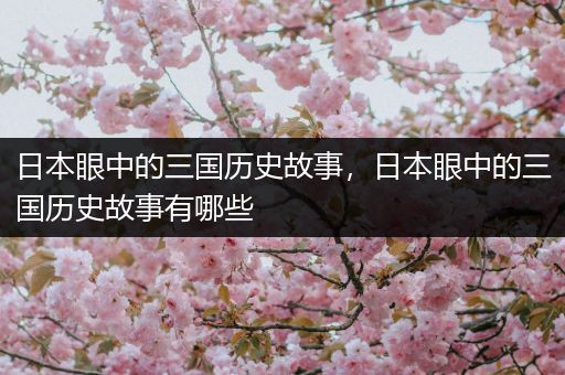 日本眼中的三国历史故事，日本眼中的三国历史故事有哪些