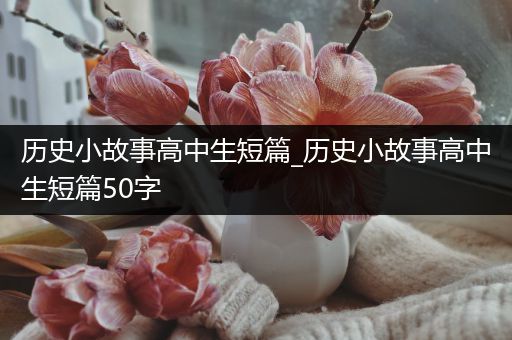 历史小故事高中生短篇_历史小故事高中生短篇50字