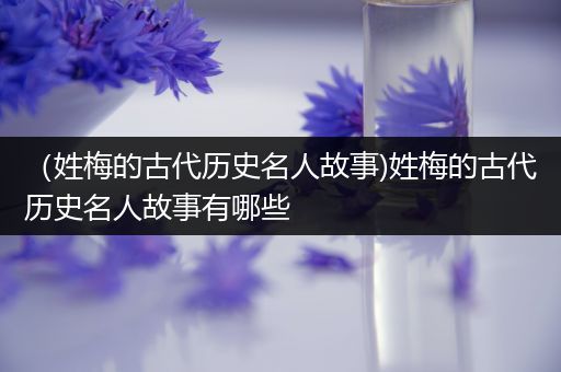 （姓梅的古代历史名人故事)姓梅的古代历史名人故事有哪些