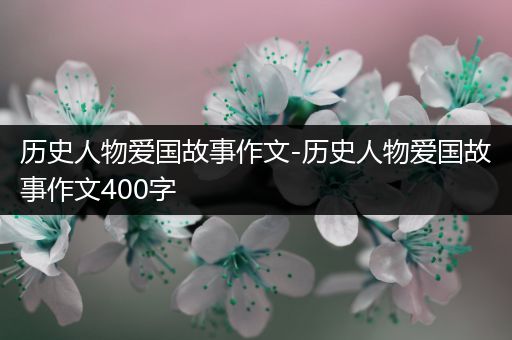 历史人物爱国故事作文-历史人物爱国故事作文400字