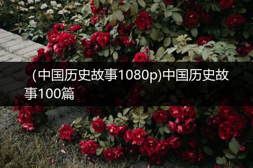 （中国历史故事1080p)中国历史故事100篇