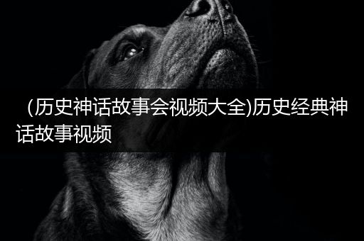 （历史神话故事会视频大全)历史经典神话故事视频