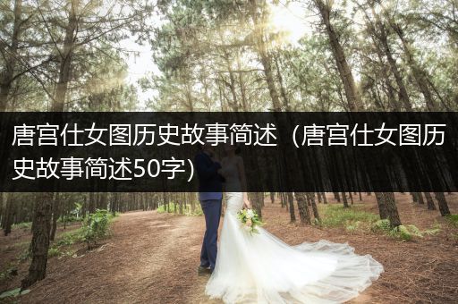 唐宫仕女图历史故事简述（唐宫仕女图历史故事简述50字）