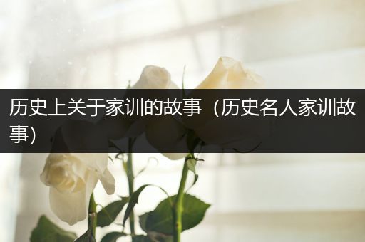 历史上关于家训的故事（历史名人家训故事）