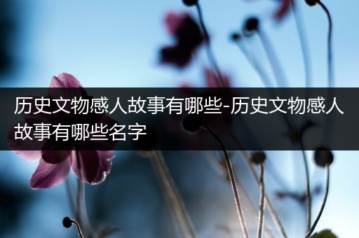 历史文物感人故事有哪些-历史文物感人故事有哪些名字