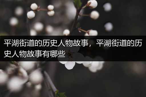 平湖街道的历史人物故事，平湖街道的历史人物故事有哪些