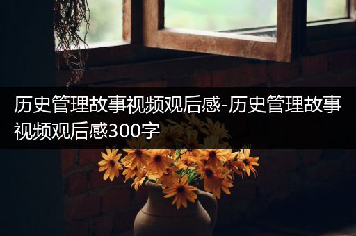 历史管理故事视频观后感-历史管理故事视频观后感300字