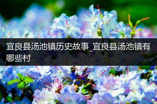 宜良县汤池镇历史故事_宜良县汤池镇有哪些村