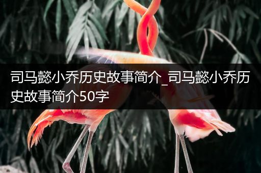 司马懿小乔历史故事简介_司马懿小乔历史故事简介50字