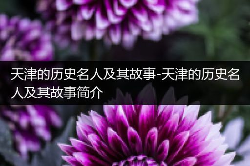 天津的历史名人及其故事-天津的历史名人及其故事简介