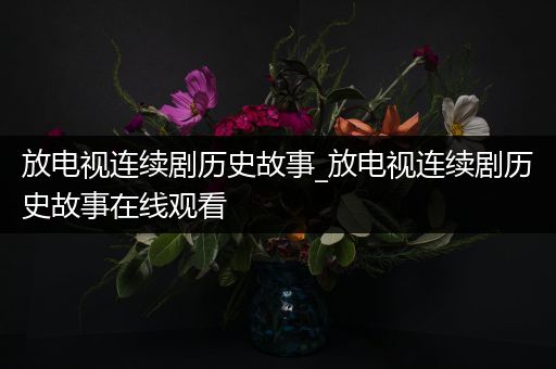 放电视连续剧历史故事_放电视连续剧历史故事在线观看