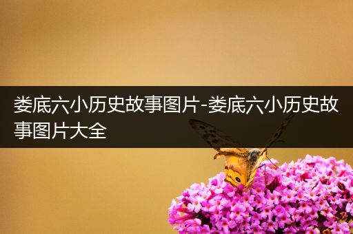 娄底六小历史故事图片-娄底六小历史故事图片大全