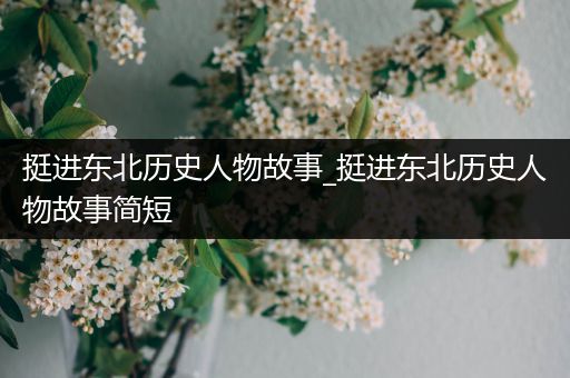 挺进东北历史人物故事_挺进东北历史人物故事简短