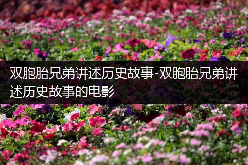 双胞胎兄弟讲述历史故事-双胞胎兄弟讲述历史故事的电影