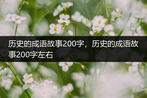 历史的成语故事200字，历史的成语故事200字左右