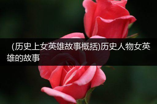 （历史上女英雄故事概括)历史人物女英雄的故事