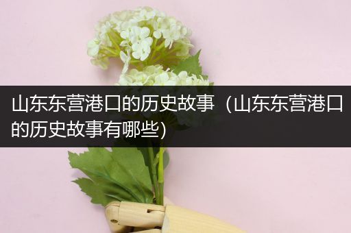 山东东营港口的历史故事（山东东营港口的历史故事有哪些）