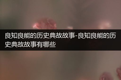 良知良能的历史典故故事-良知良能的历史典故故事有哪些