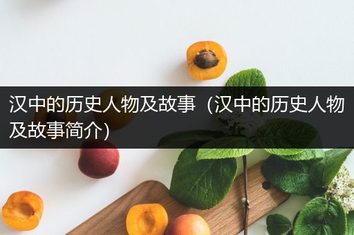 汉中的历史人物及故事（汉中的历史人物及故事简介）