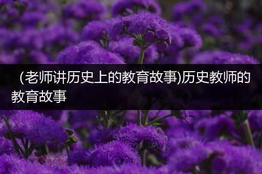 （老师讲历史上的教育故事)历史教师的教育故事