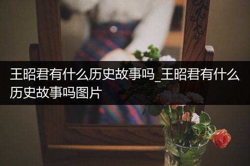 王昭君有什么历史故事吗_王昭君有什么历史故事吗图片