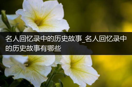 名人回忆录中的历史故事_名人回忆录中的历史故事有哪些