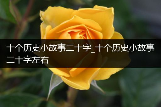 十个历史小故事二十字_十个历史小故事二十字左右