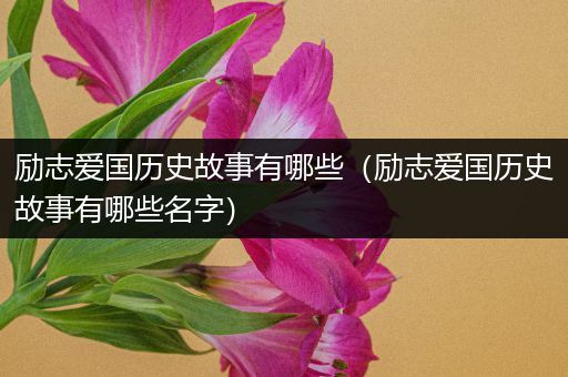 励志爱国历史故事有哪些（励志爱国历史故事有哪些名字）