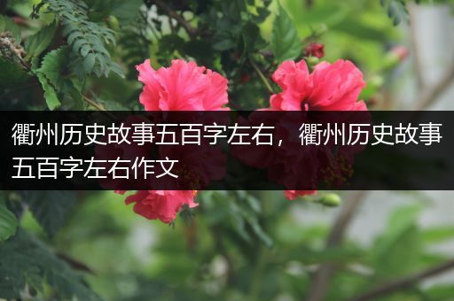 衢州历史故事五百字左右，衢州历史故事五百字左右作文