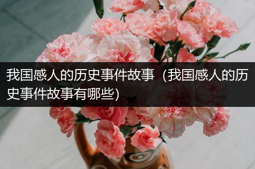 我国感人的历史事件故事（我国感人的历史事件故事有哪些）