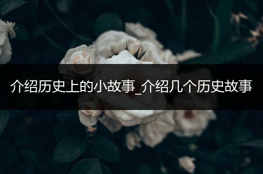 介绍历史上的小故事_介绍几个历史故事