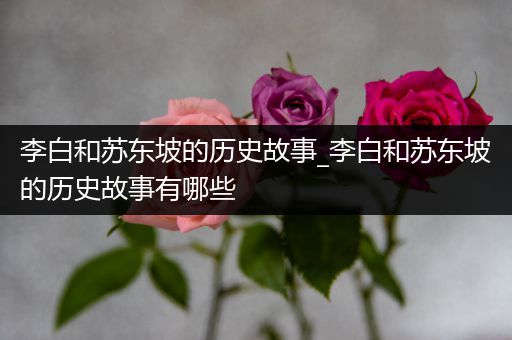 李白和苏东坡的历史故事_李白和苏东坡的历史故事有哪些