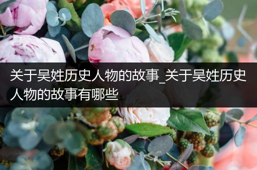 关于吴姓历史人物的故事_关于吴姓历史人物的故事有哪些