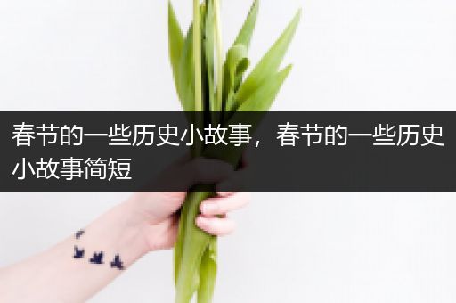 春节的一些历史小故事，春节的一些历史小故事简短