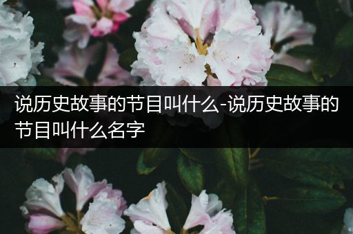 说历史故事的节目叫什么-说历史故事的节目叫什么名字