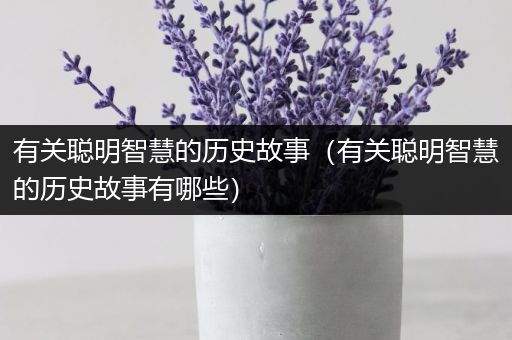 有关聪明智慧的历史故事（有关聪明智慧的历史故事有哪些）