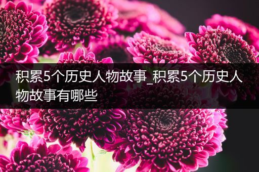 积累5个历史人物故事_积累5个历史人物故事有哪些