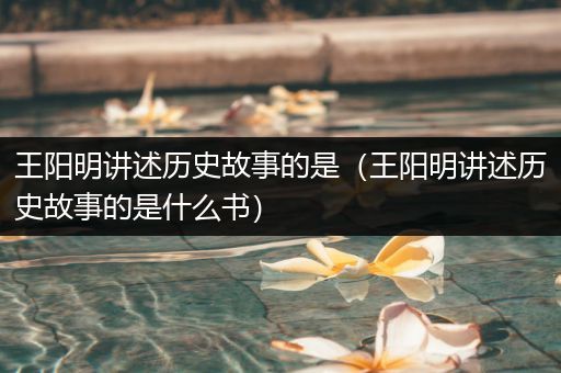 王阳明讲述历史故事的是（王阳明讲述历史故事的是什么书）