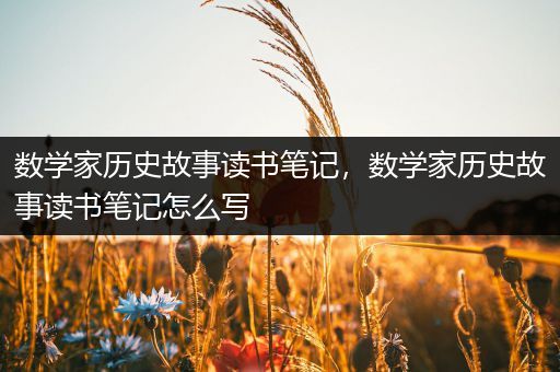 数学家历史故事读书笔记，数学家历史故事读书笔记怎么写